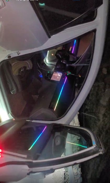 Жентра 2017  Оқ Белодимчатий