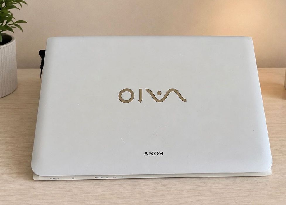 Ноутбук Sony VAIO SVE1513D1EW