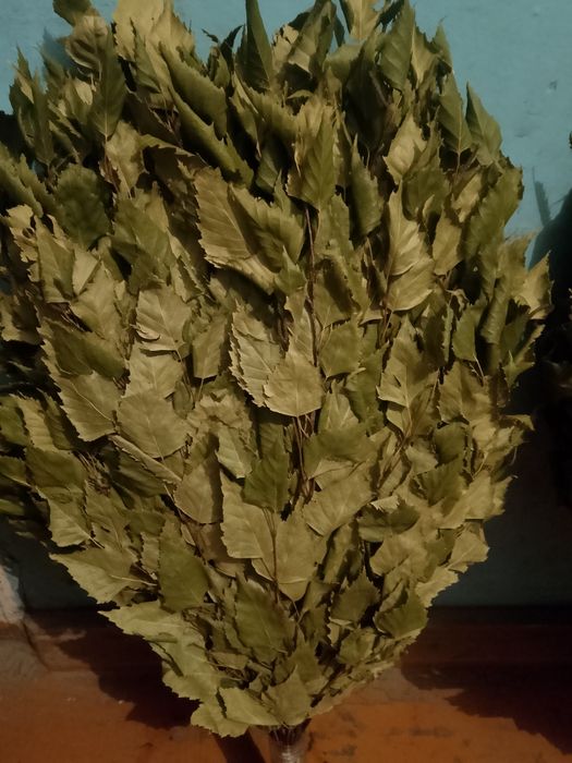 Продам берёзовые веники