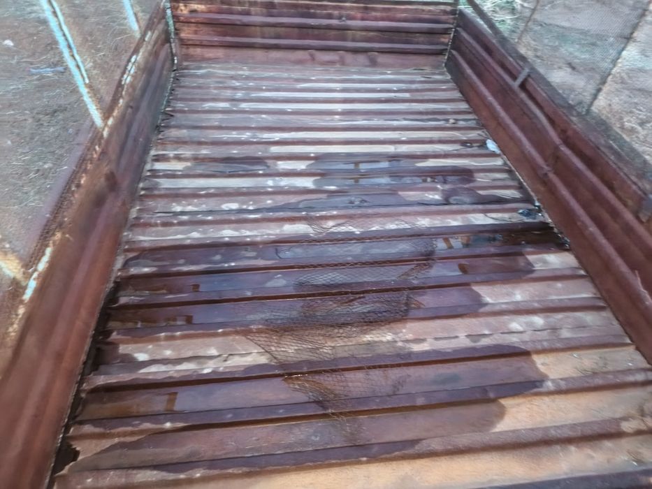 Prseb sotiladi tilichka