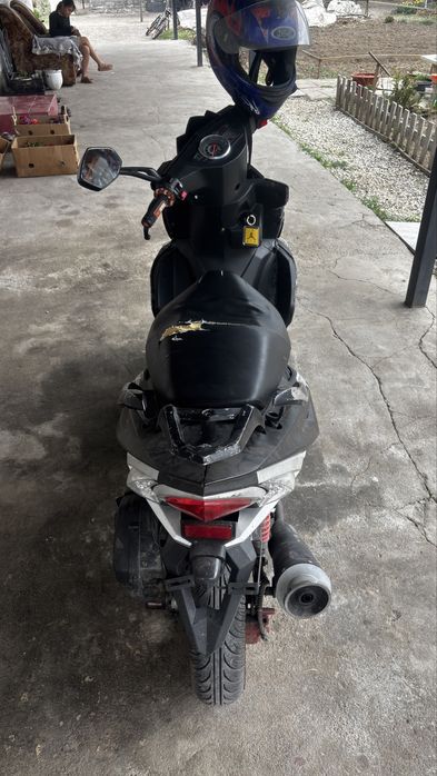 Peda egael 2014 года