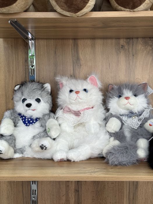 Котики для автомобиля