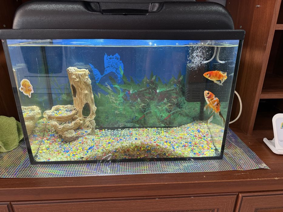 Продам аквариум