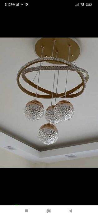 Елегантен полюлей