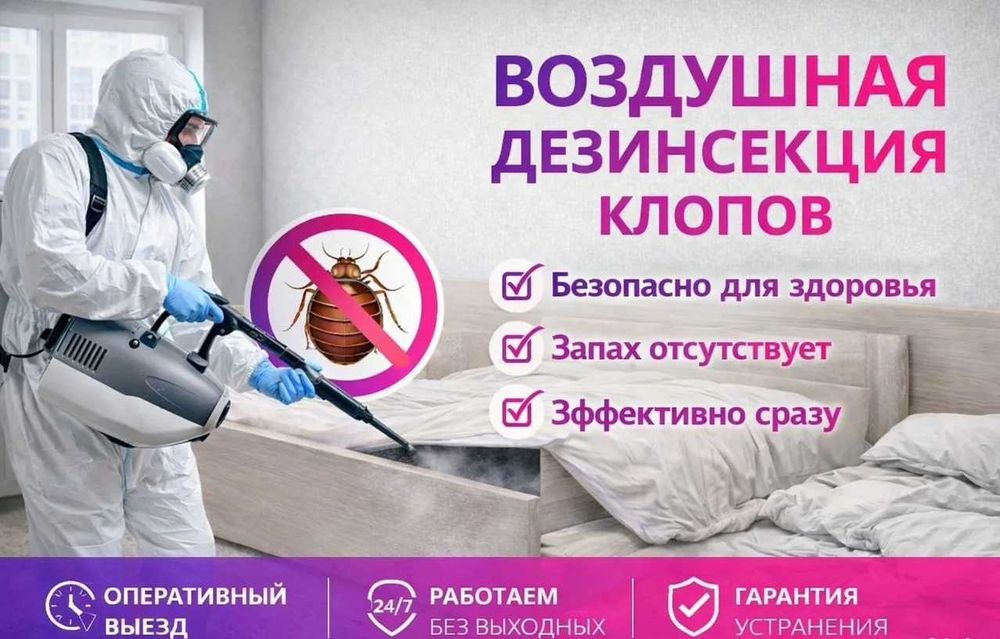 Дезинфекция от клопов уничтожение клопов дезинфекция dezinfeksiya