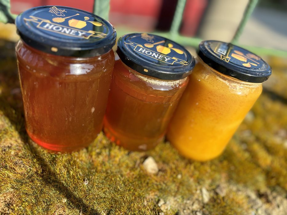 Натурален домашен пчелен и манов мед – директно от пчелар