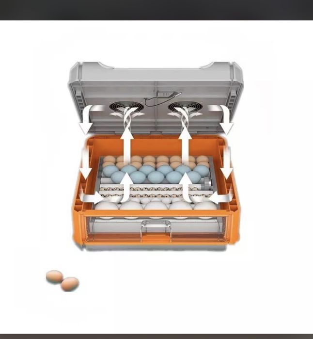 Инкубатор для яиц