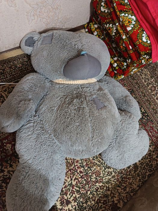 Teddy ayiqcha judayam kotta