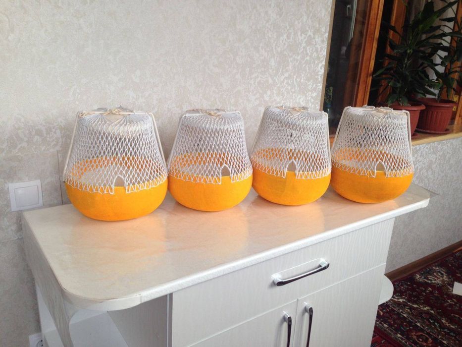 bedana qafas sotiladi