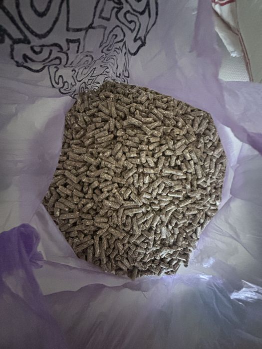 қоянның сеткасы.