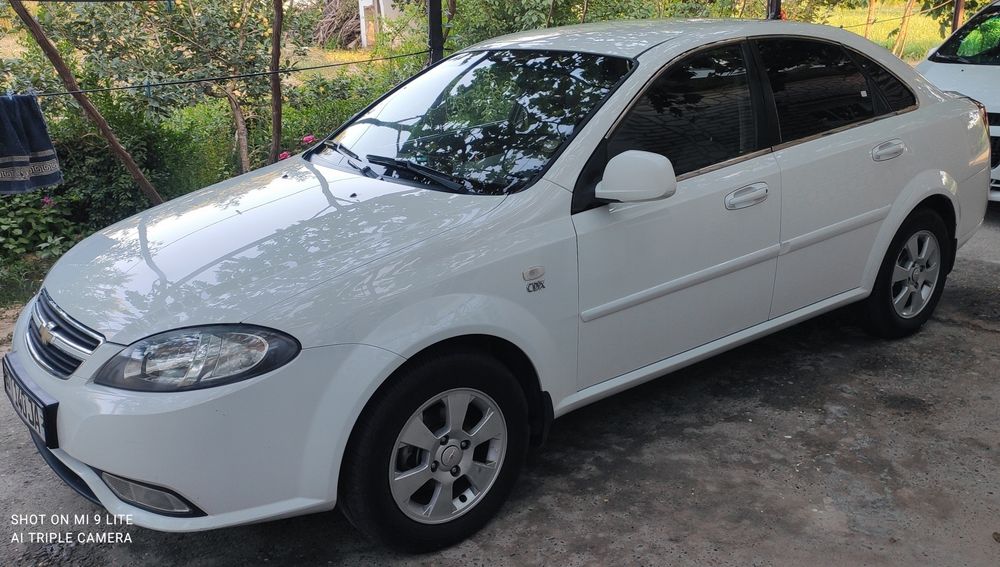 Jentira 2 pazitsa yili 2015