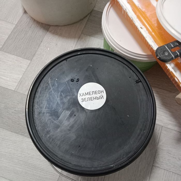 Шолк хамелеон  зелёный