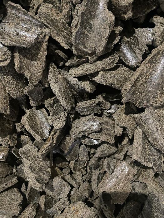 Рапс.Платный чат!Все корма.