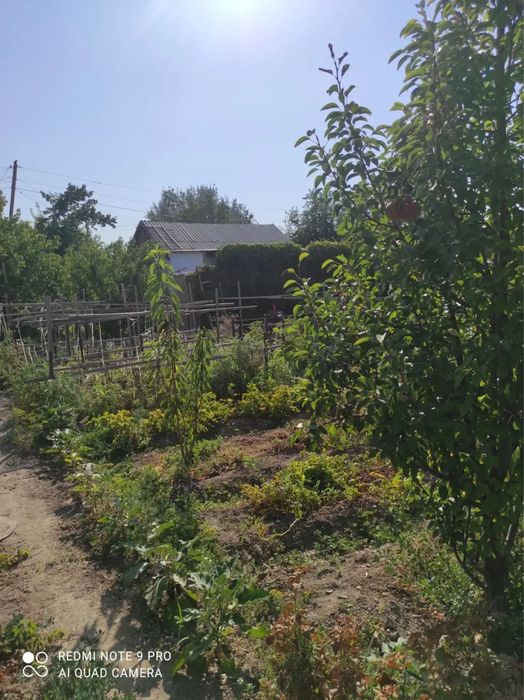 Продам дачу, Ягодка