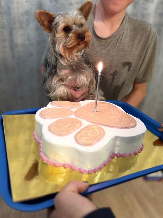 Ищем девочку нашему Кабелю