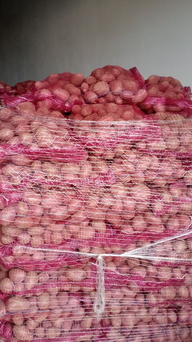 Cartofii extra ...calibru 60 plus.