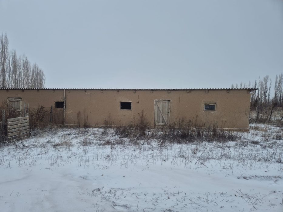Фазенда 36 гектаров