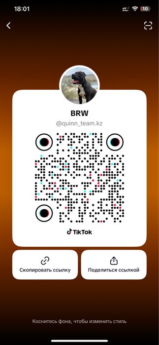 Вязка Американский Питбультертер