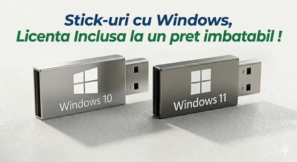 Usb Flash Drive / Stick Bootabil cu Windows 10/11 Pro Licenta Inclusa!