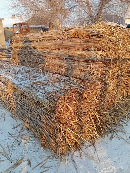 Қамыс плита сатылады