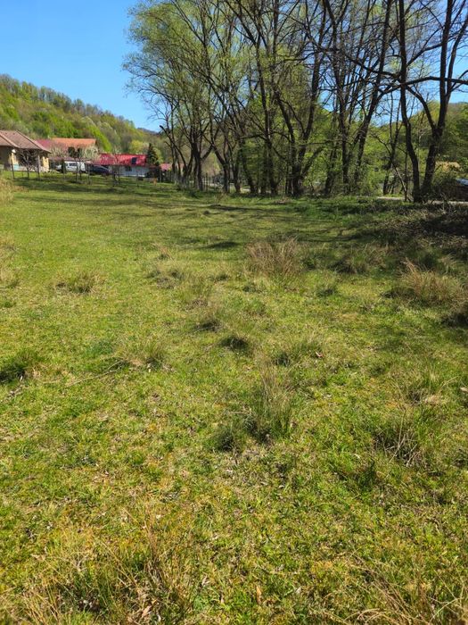 Vand teren Borod valea masca