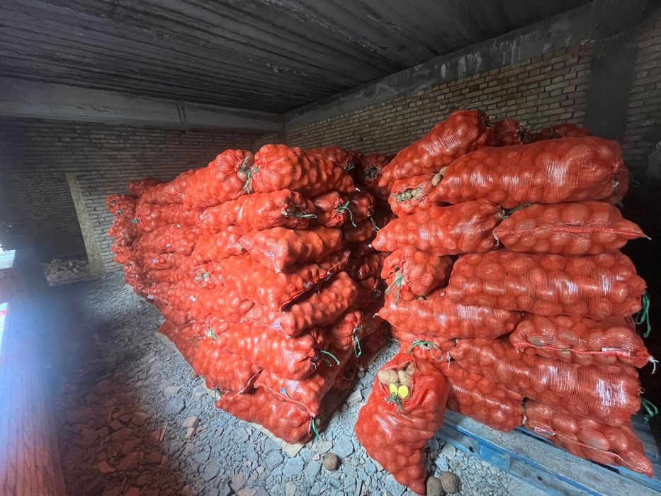 Картошка с Павлодара