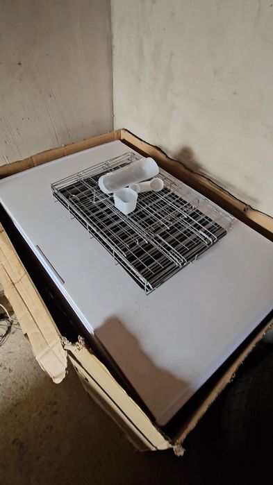 Голуби в удобстве