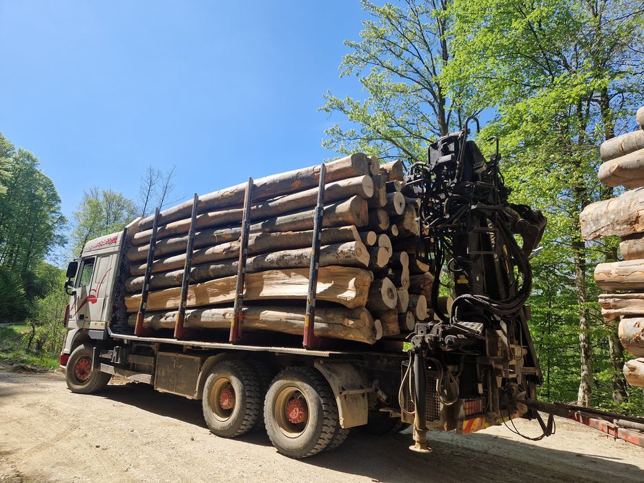 Lemn foc fag, transport inclus! Doar localitățile enumerate!tl