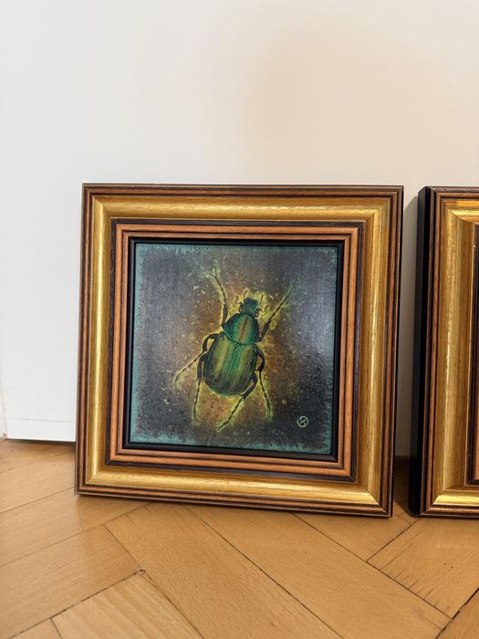 Картини с инсекти