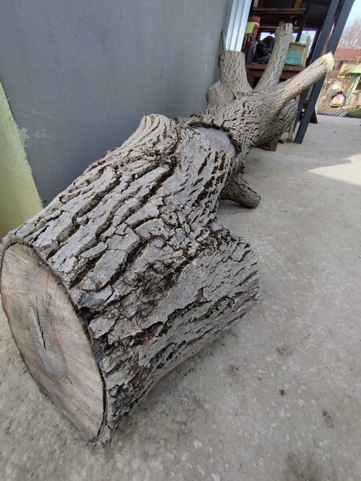 Дънер орех 240см/38см