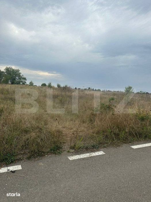 Teren intravilan/extravilan, 1500 mp, Cazaci
