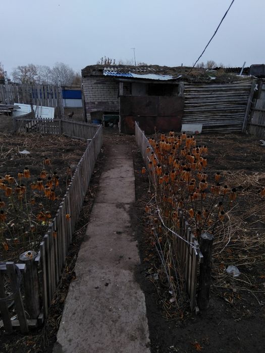 Продам дом, срочно. Село Половинки.