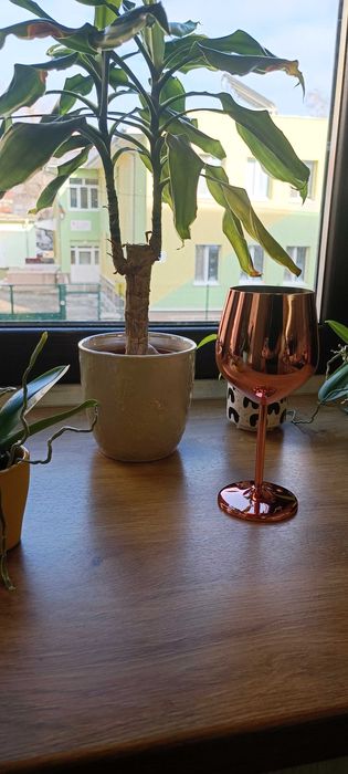 Специални чаши за вино