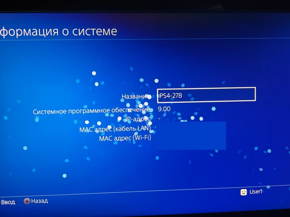 Ps 4 slim версия 9.00