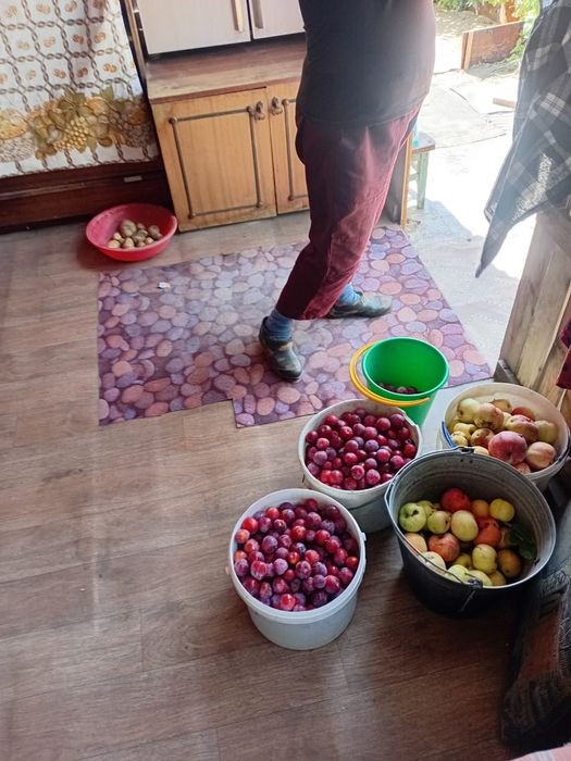 Продам дачу садовый кооператив Природа