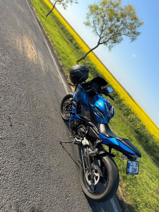Kawasaki Nikja 650