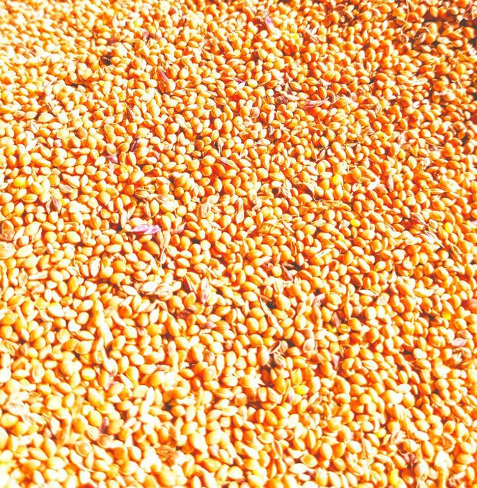 Эротикалық секс порно фильм онлайн