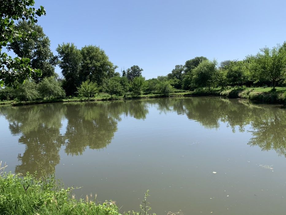 Продава се Парцел в с. Куртово Конаре, Област Пловдив - 21115 кв.м за 17 €/кв.м - Снимка #12