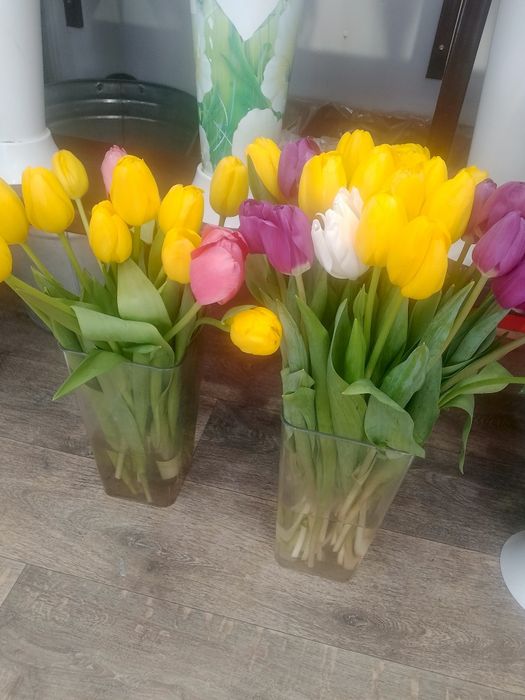 Тюльпаны по предзаказу