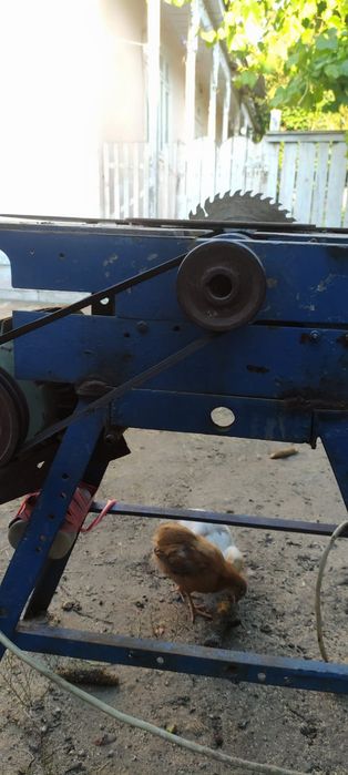 Circular utilizat vând pentru nevoie