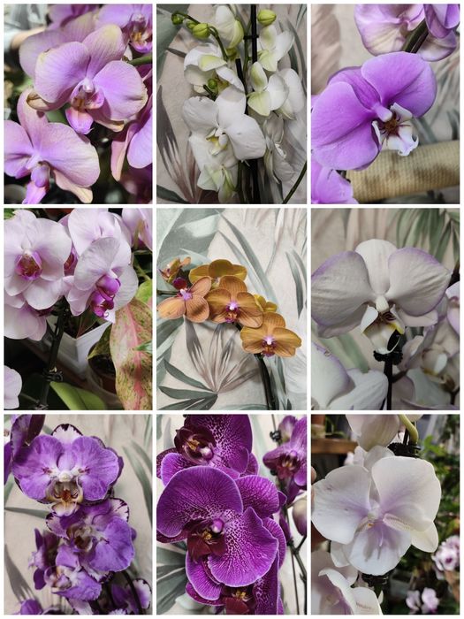 Приглашаю в группу