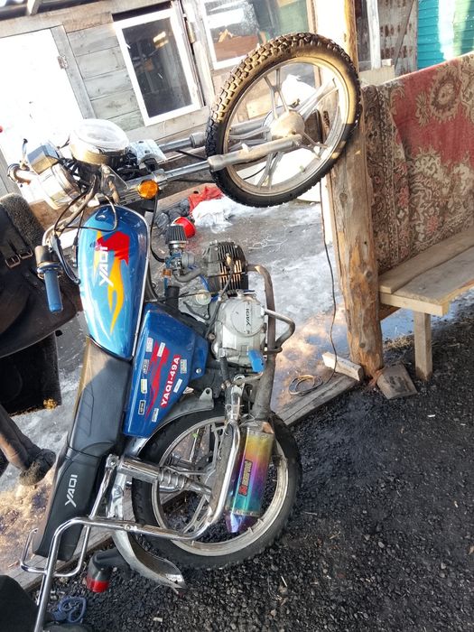 Продам альфу яки