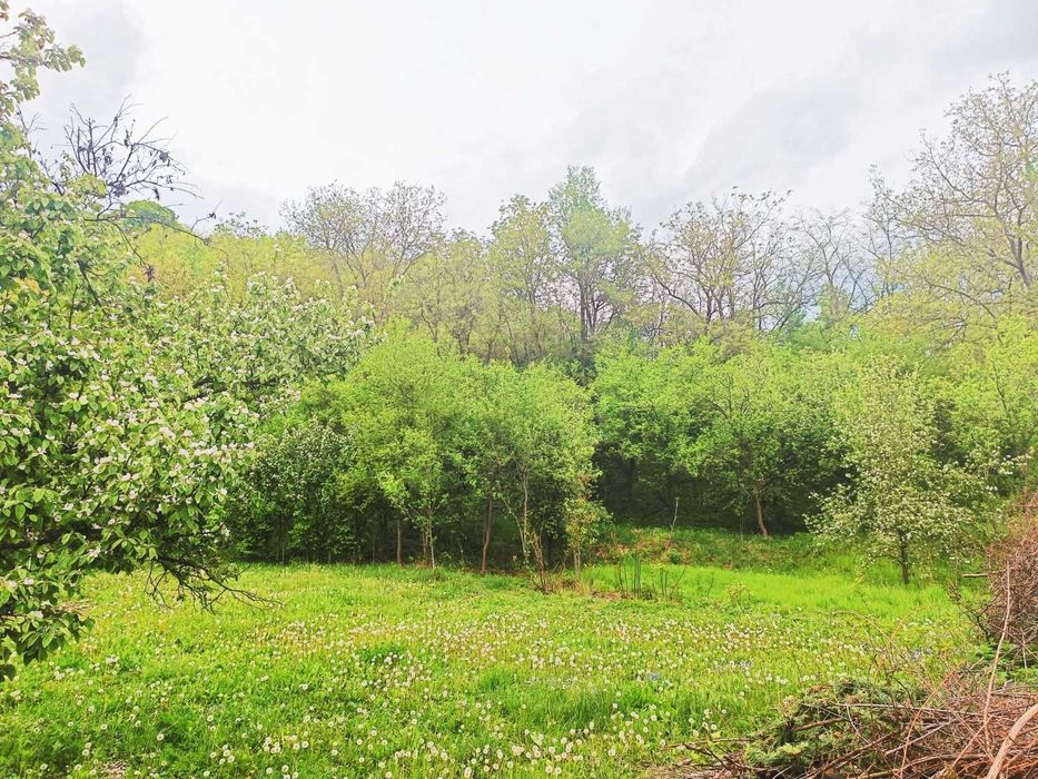 Vând teren intravilan în CĂRBUNEȘTI-PRAHOVA. Super-preț!!!