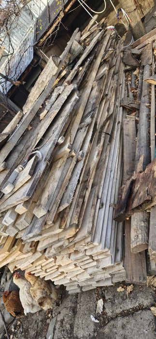 Plop scandura uscata la sipca si rigle