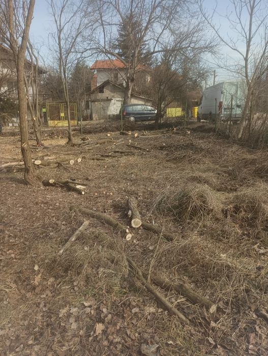 Почистване на парцели дворове и запустели имоти