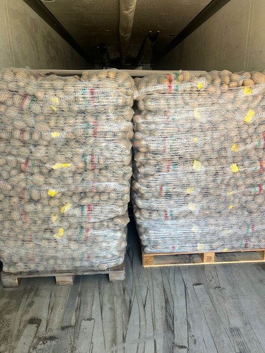 Cartofi +55, Mere , varză, morcovi