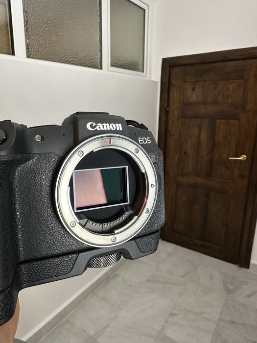 Canon RP + Canon RF 24-240mm
