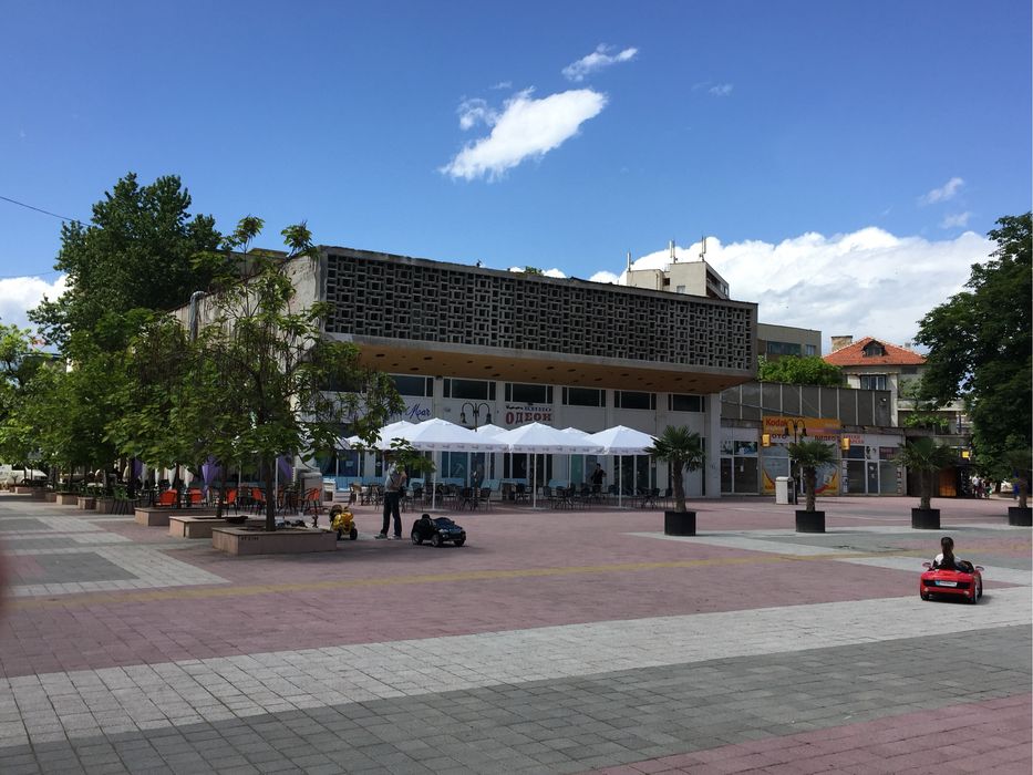 Продава се Заведение в Пазарджик, Моста на Лютата - 500 кв.м за 60 €/кв.м - Снимка #7