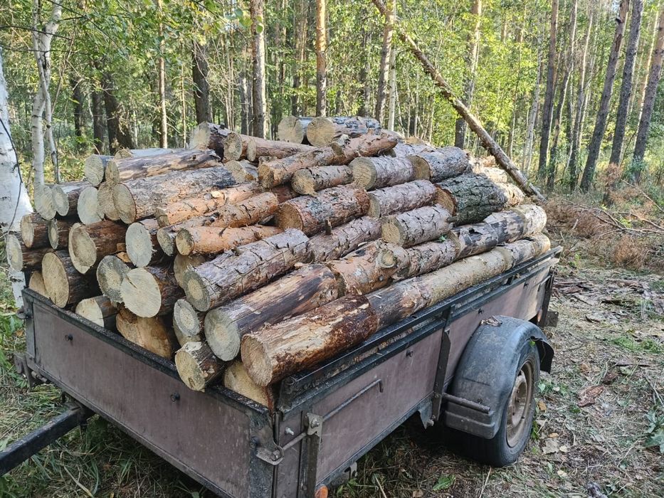 Продам дрова сухие сосна