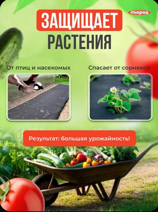 Спанбонд (агроспан, агроткань, агротекстиль) 3.2м черный